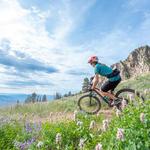 Mountain Biking
