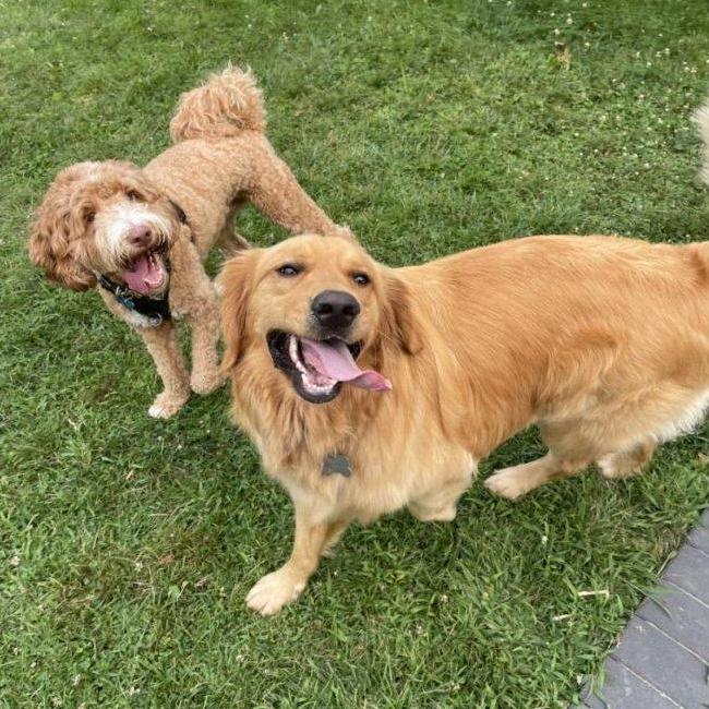 Cousins - Wilson and Stanley