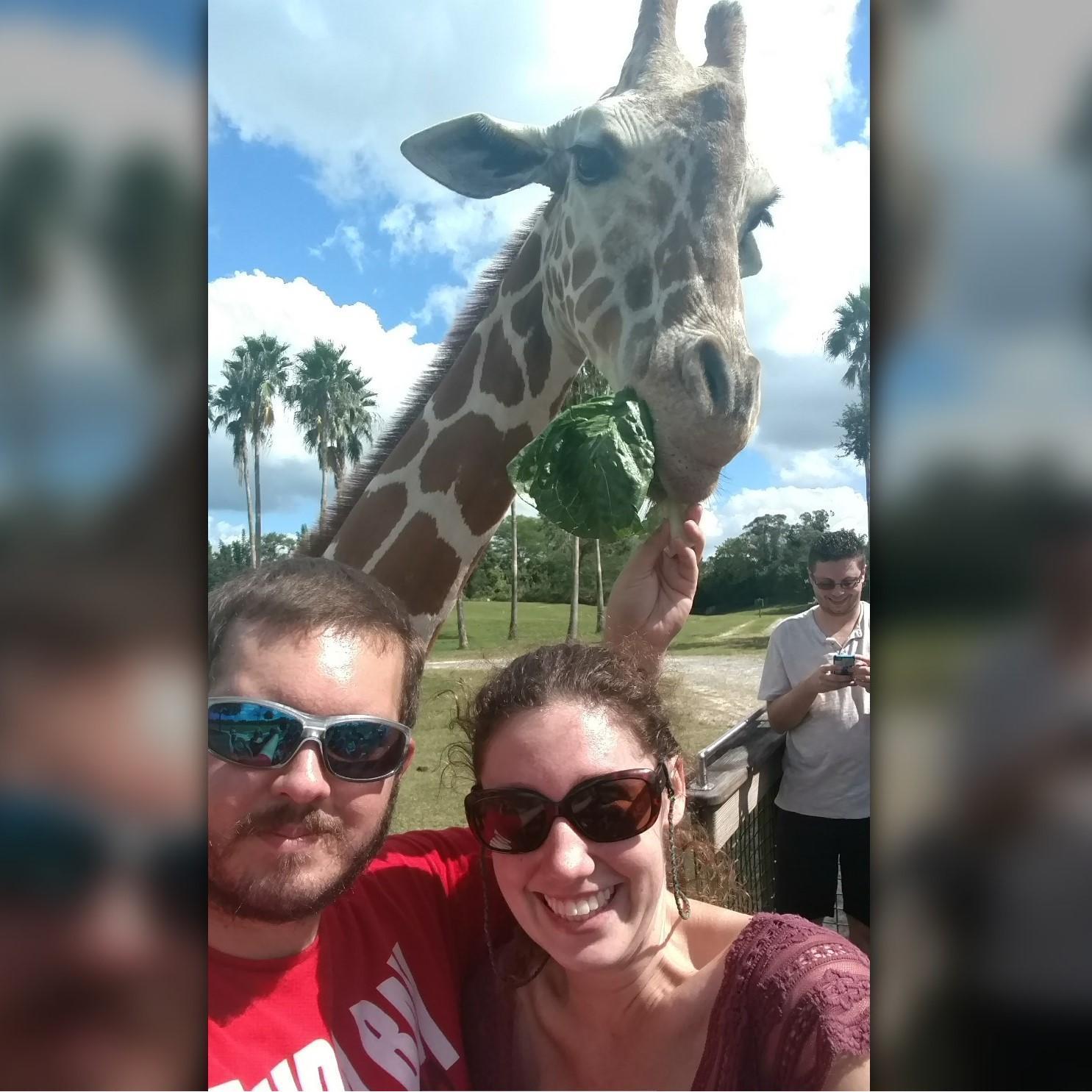 Busch Gardens