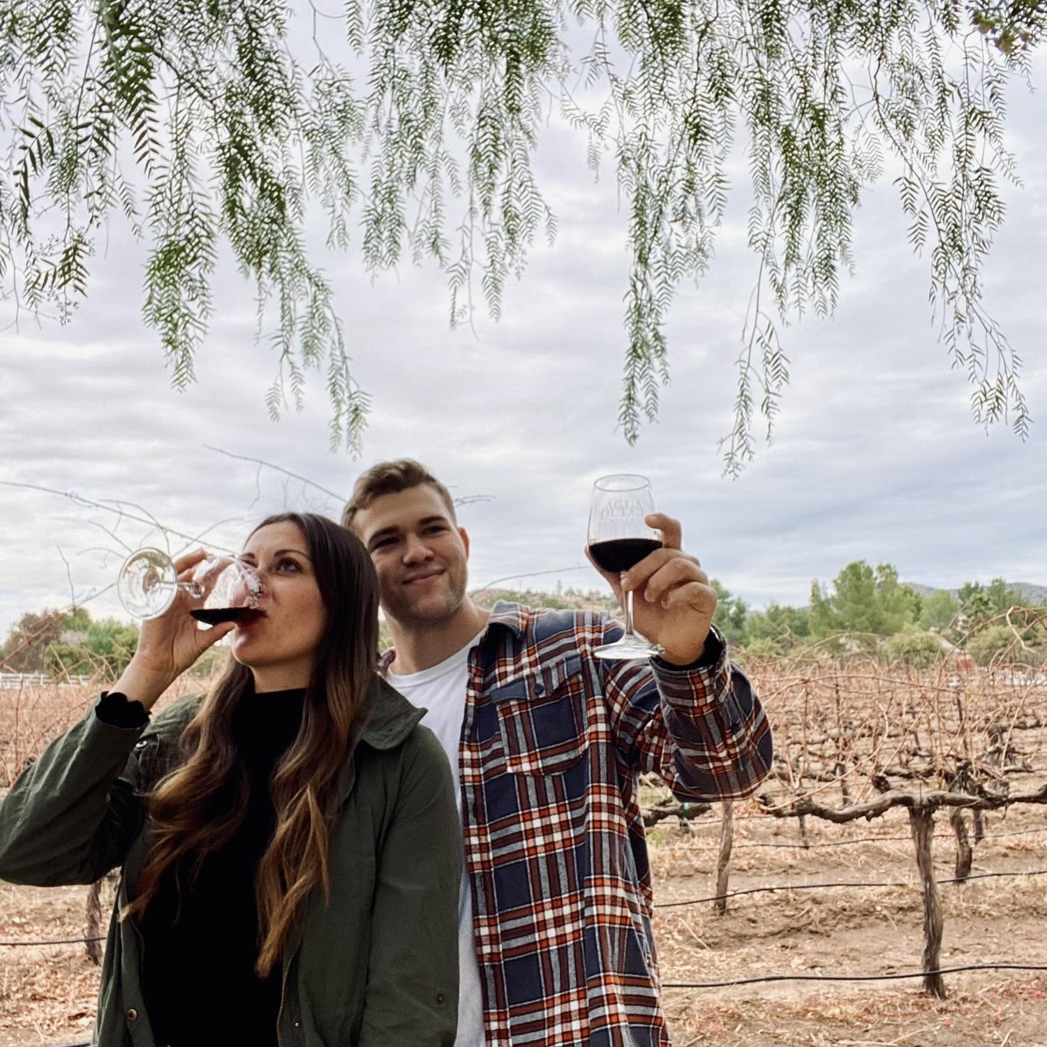 Wine tasting trip in California