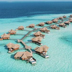 Honeymoon Fund