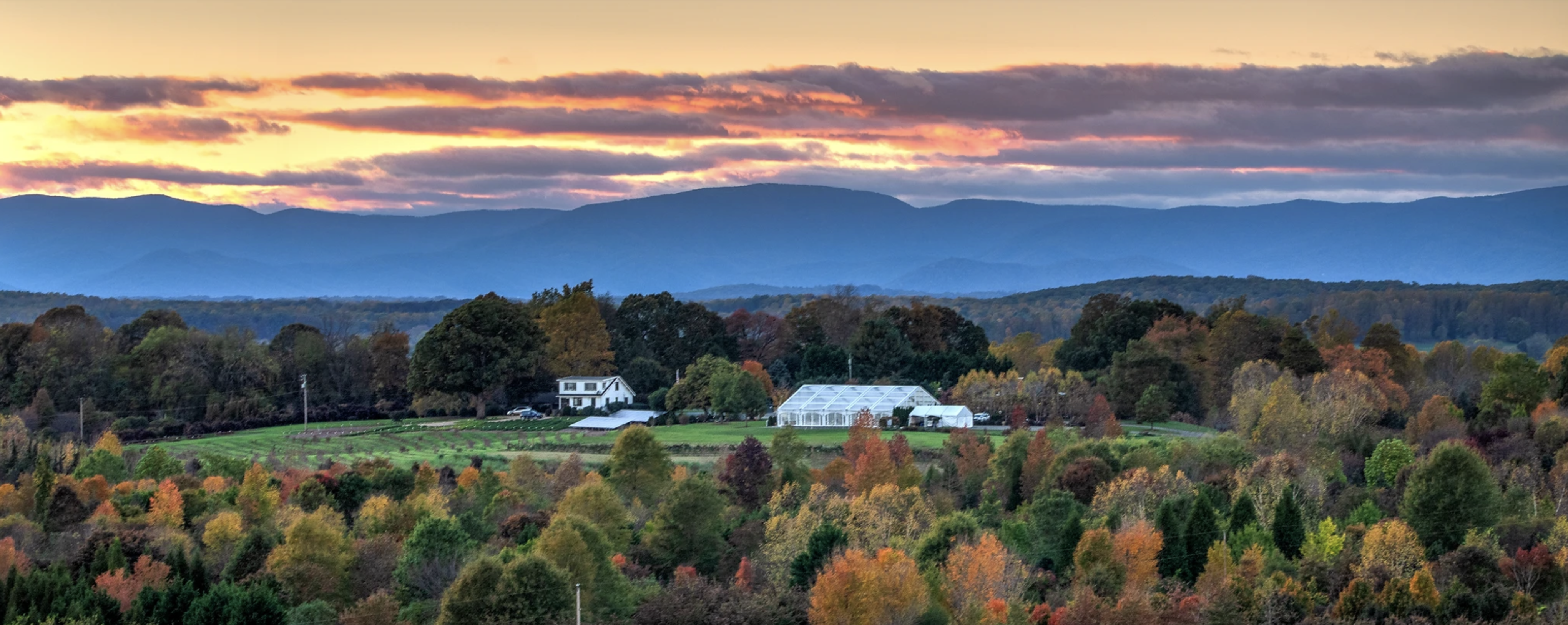 The Wedding Website of Ian Udsen and Christine Anastasio
