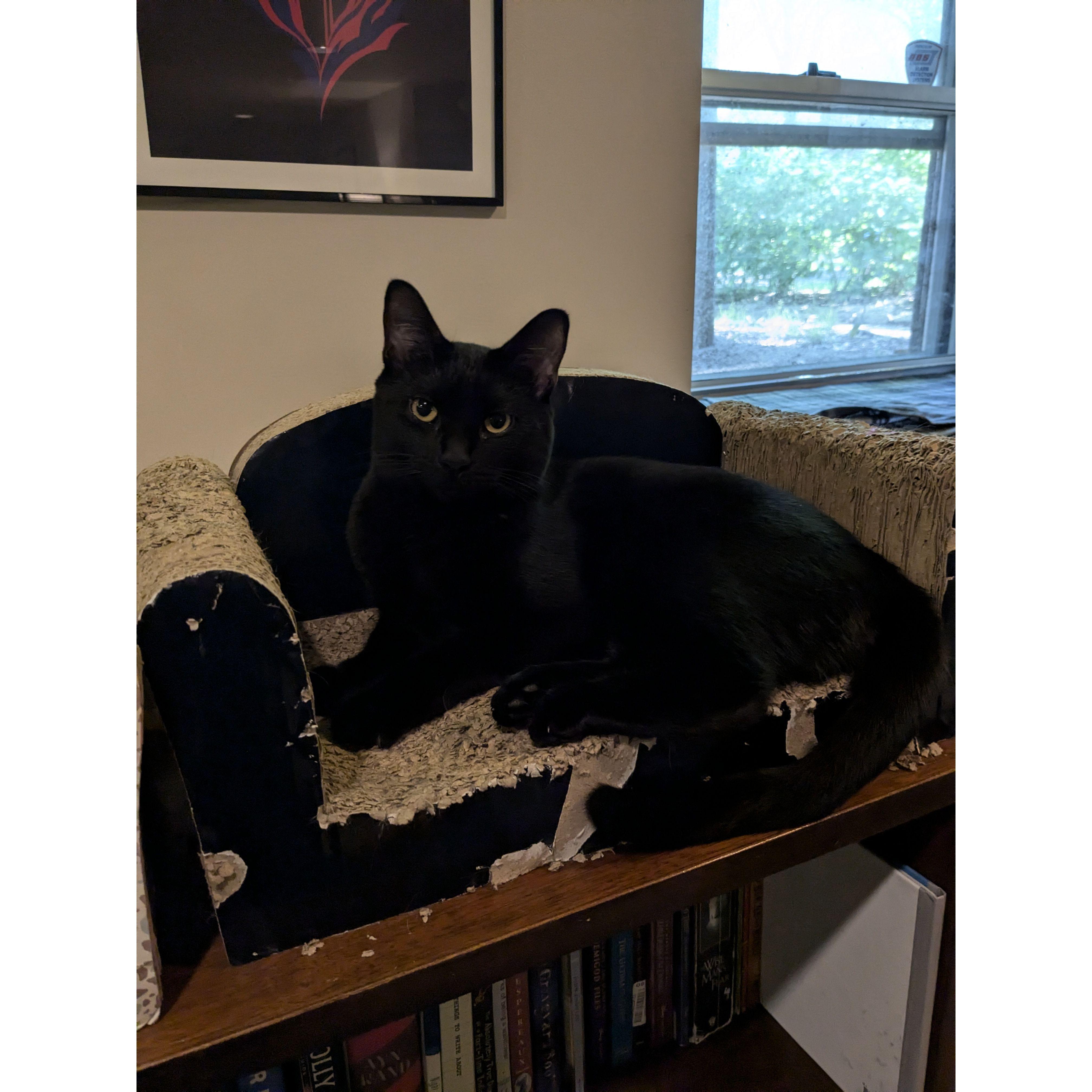 Jiji