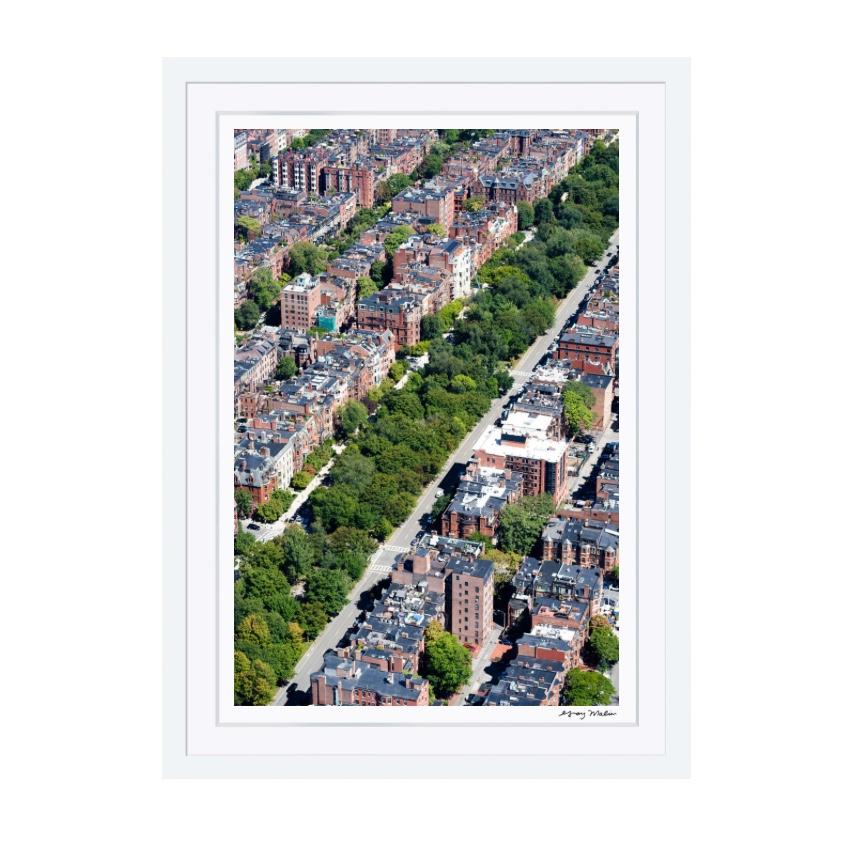 Commonwealth Avenue, Boston Artwork