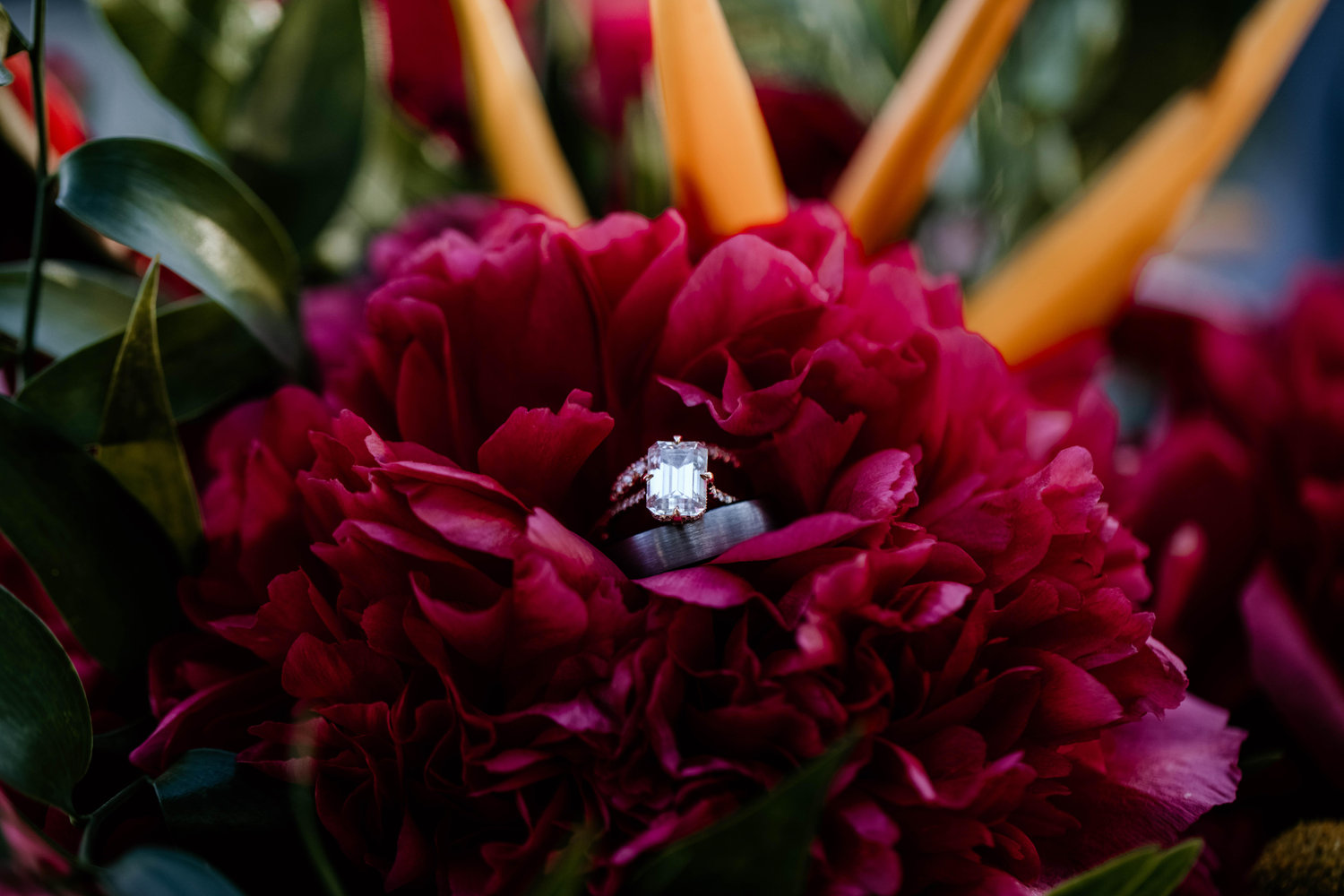 The Wedding Website of Jessa Doom and Grant Lang