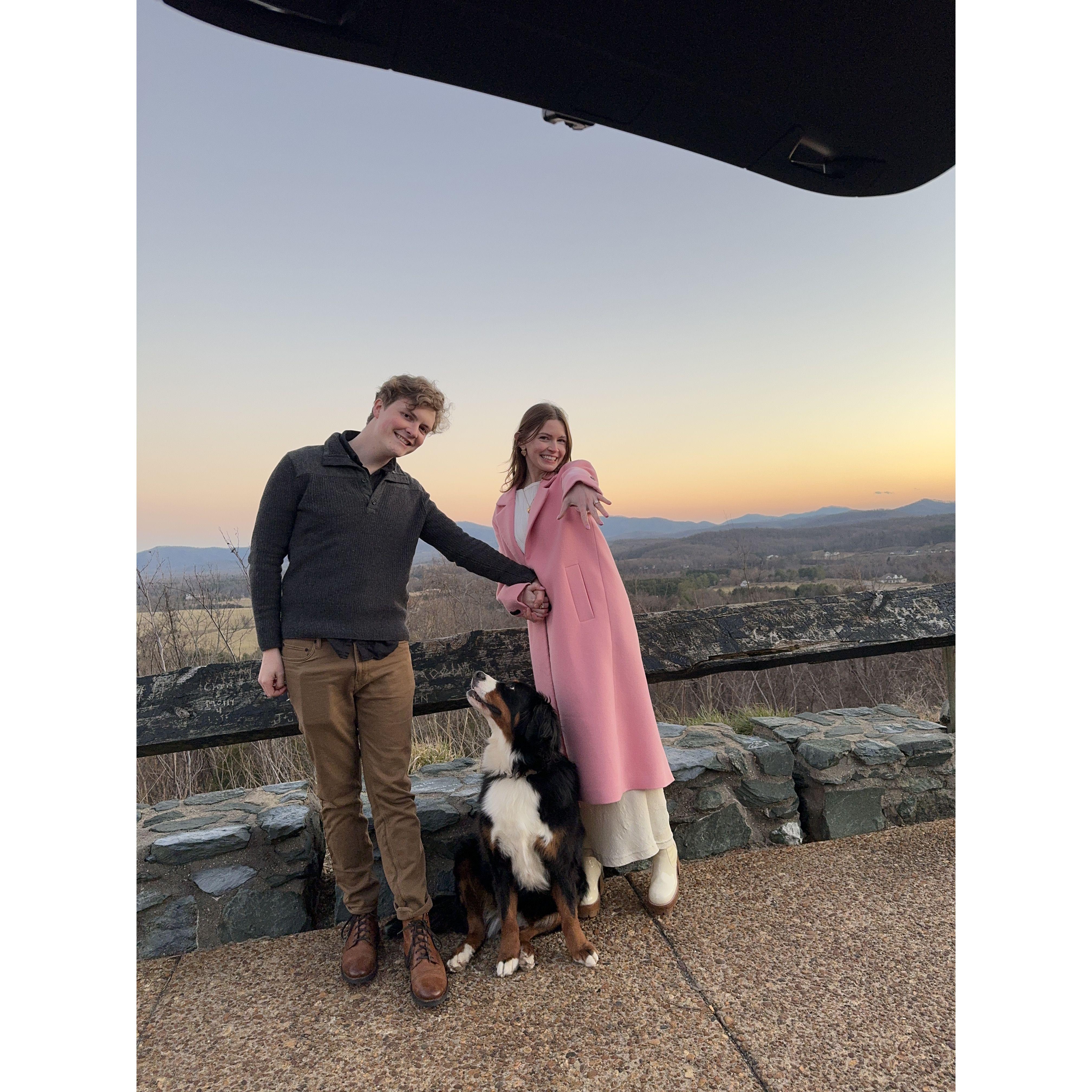 Proposal on Skyline Drive Valentine's Day 2024