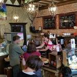 Brown Dog Coffee Company