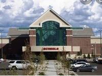 Scheels