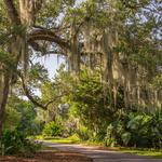 Fairchild Tropical Botanic Garden