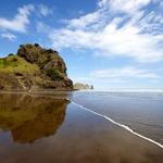 Piha Beach
