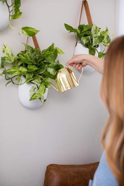 Oasis Watering Can in Gold
