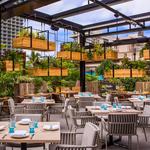 Herringbone Waikiki