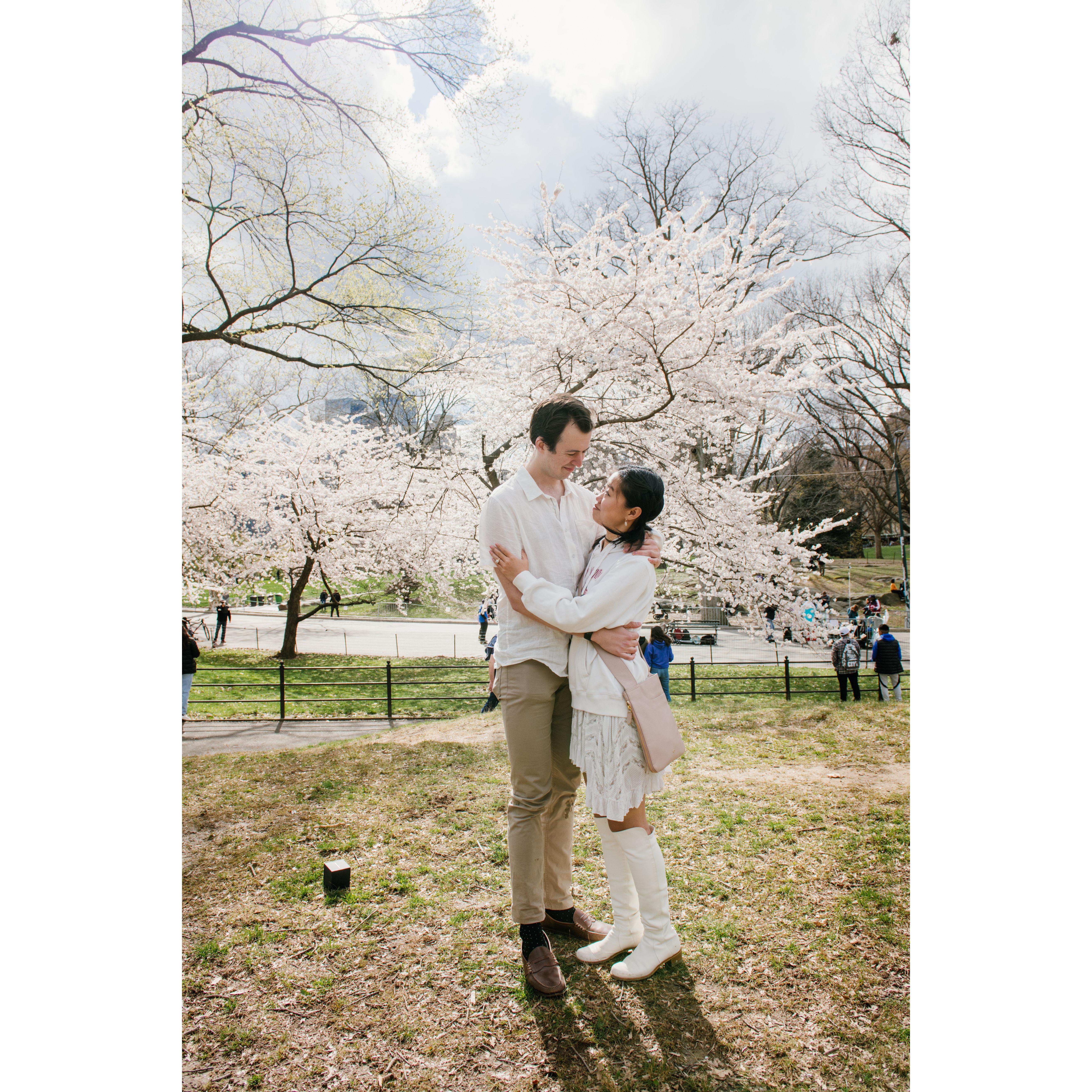 Engagement in Central Park