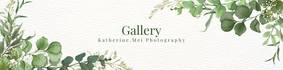 The Wedding Website of Alison Johnson and Jeremy McKee