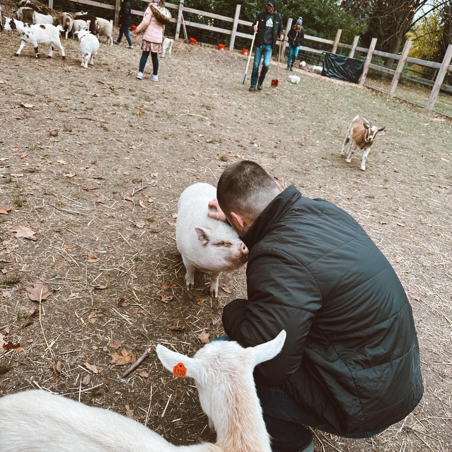 Seconds before getting bitten 🐷
