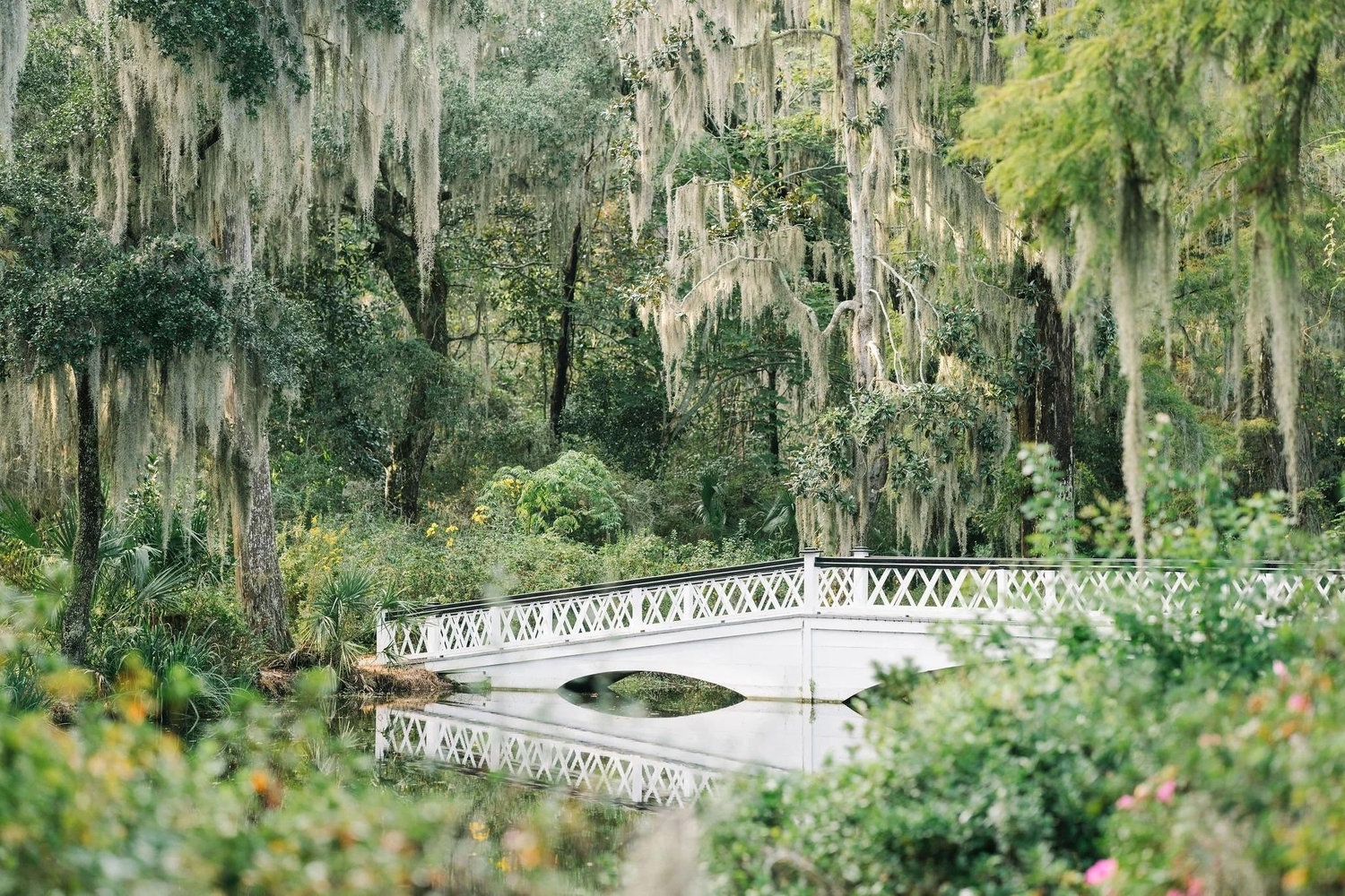 The Wedding Website of Hailey James and Benjamin Beckwith