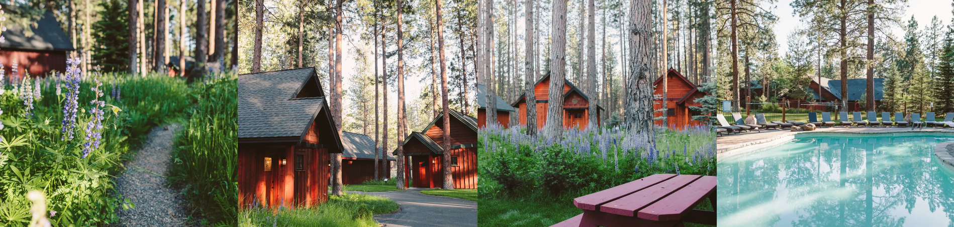 The Wedding Website of Zoe Sarrett and James Springer