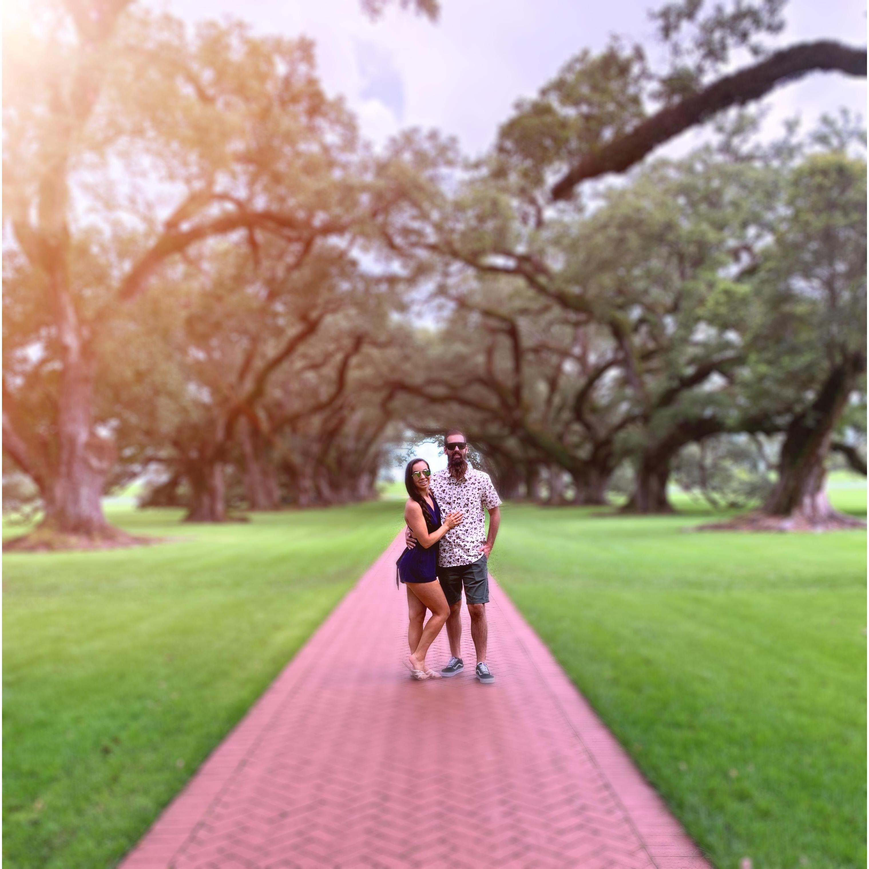 Oak Alley Plantation