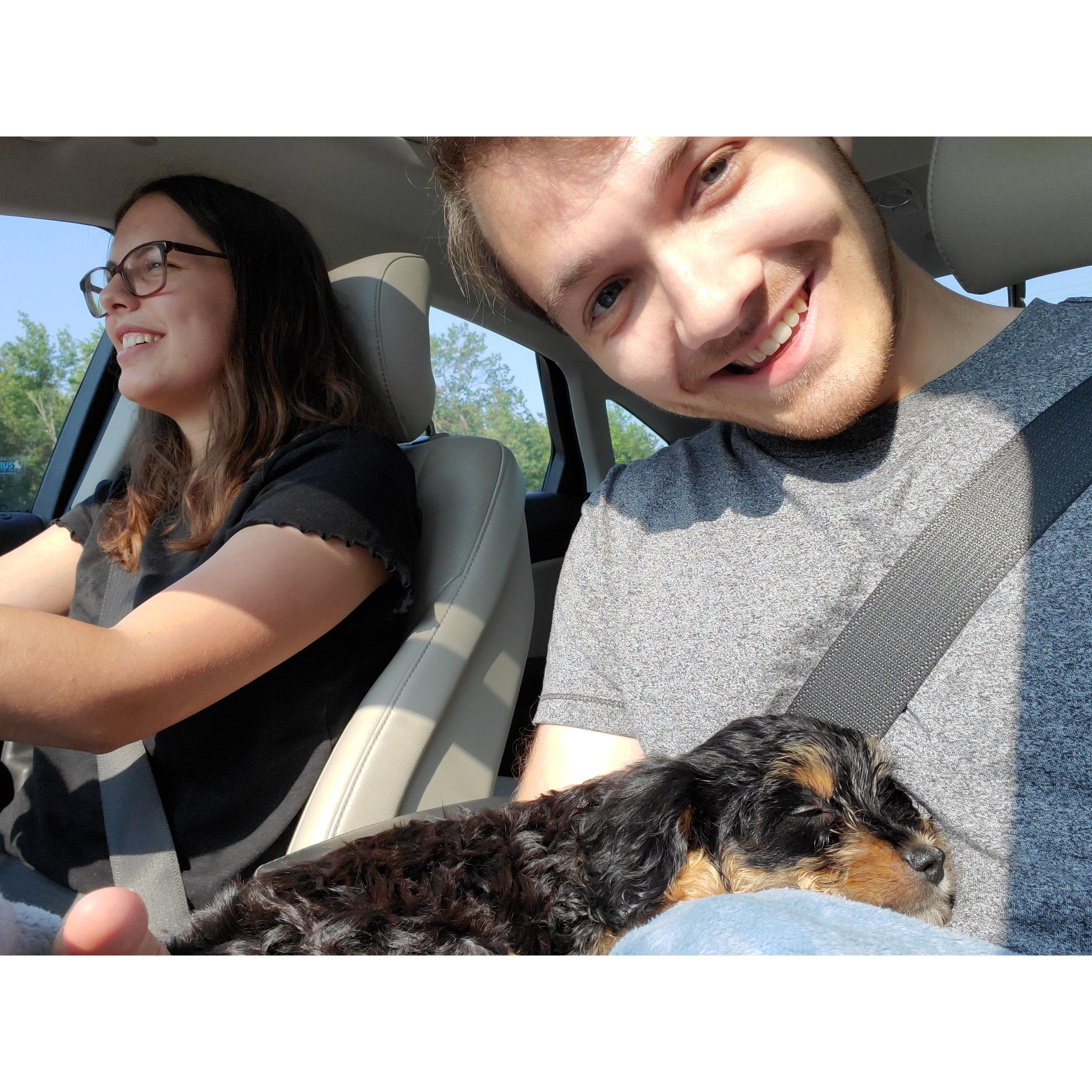 The day we got Sammy girl