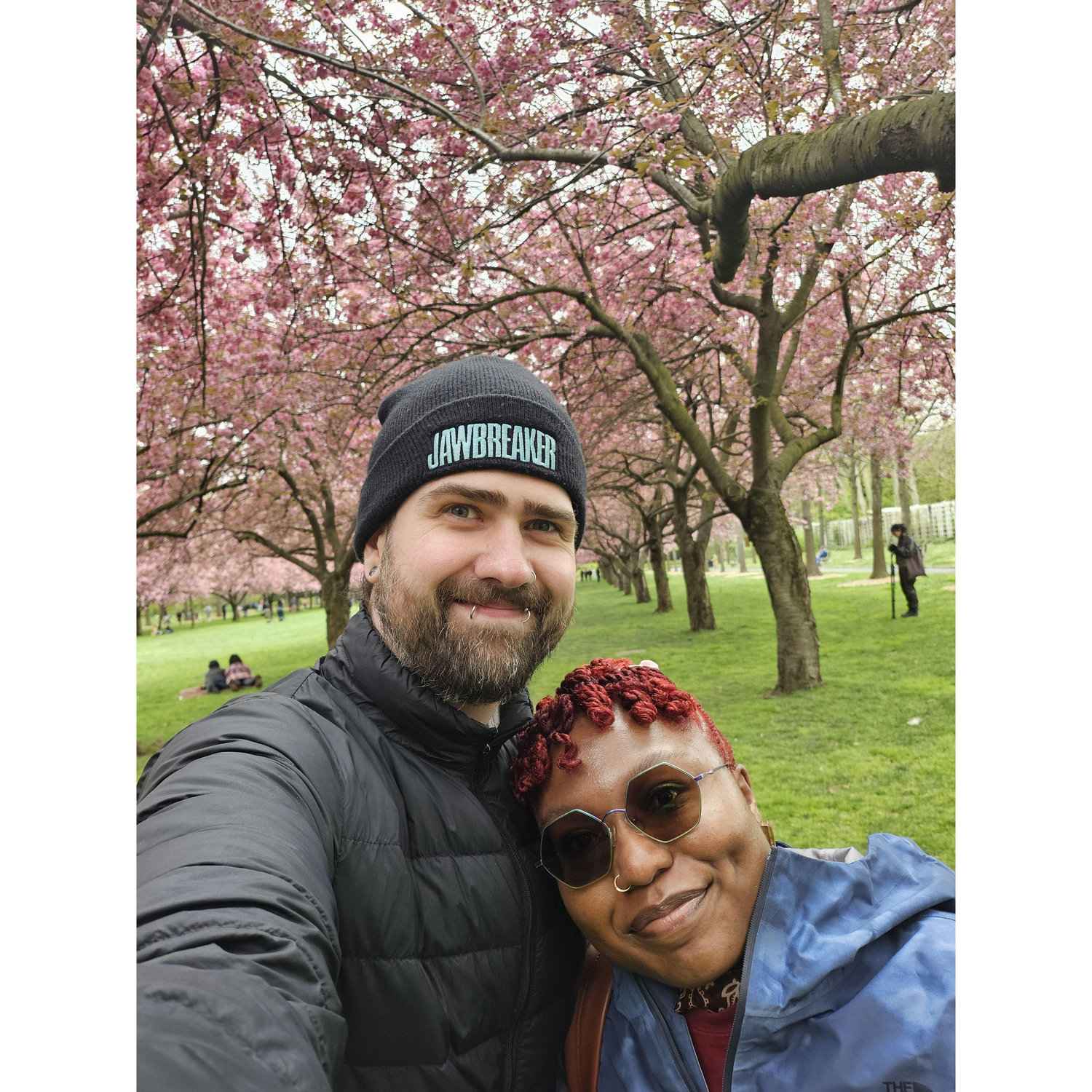 Cherry Blossoms at the Brooklyn Botanic Garden