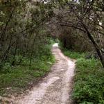 Barton Creek Greenbelt