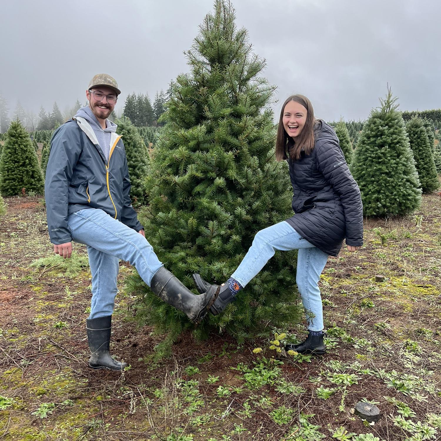 On a hunt for the Christmas tree!