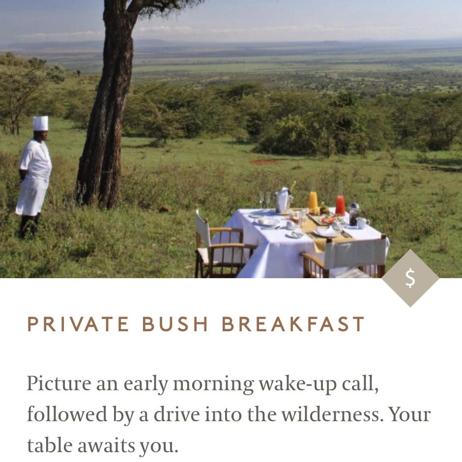 Private Bush Breakfast in Kenya