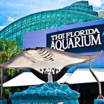 The Florida Aquarium