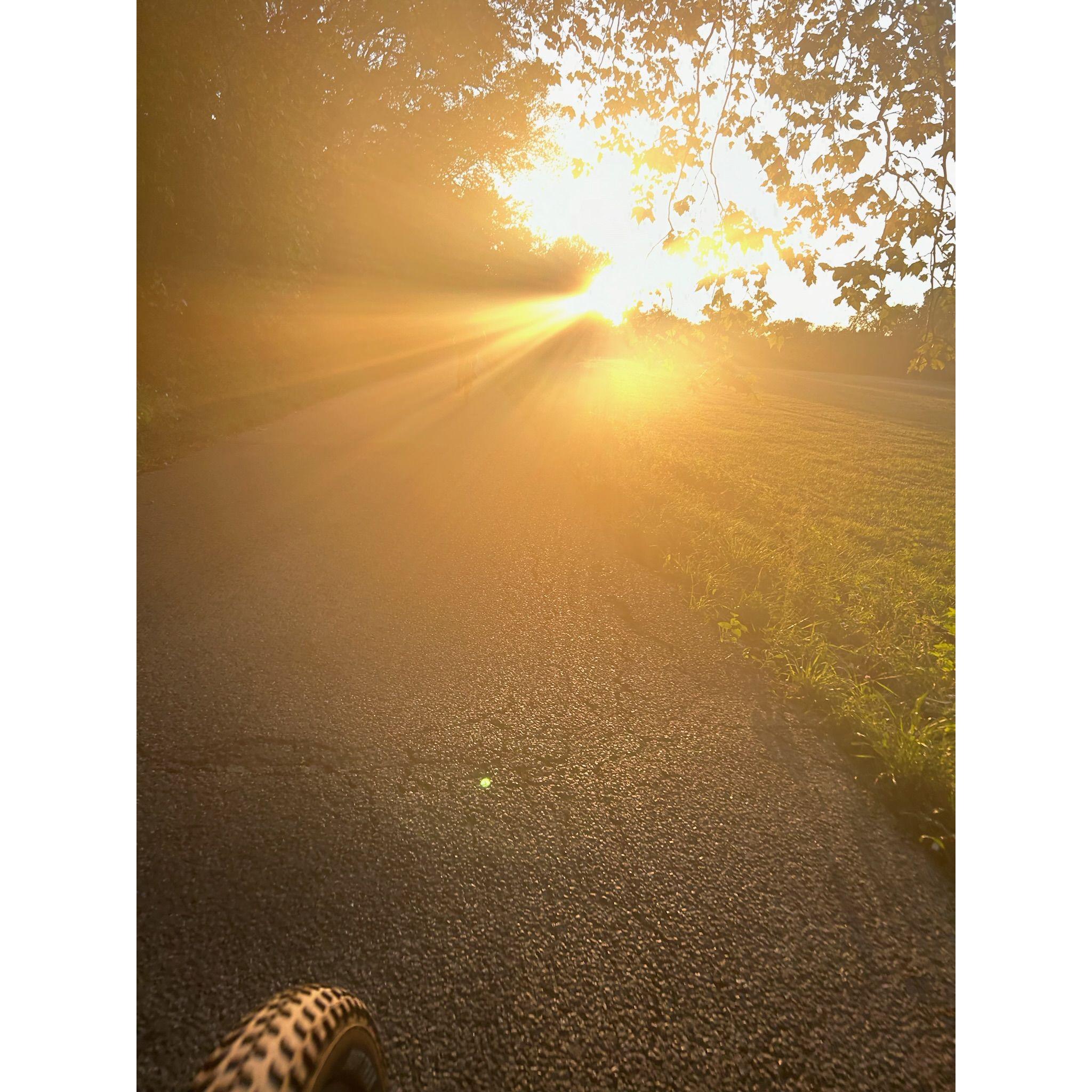 Bike Rides