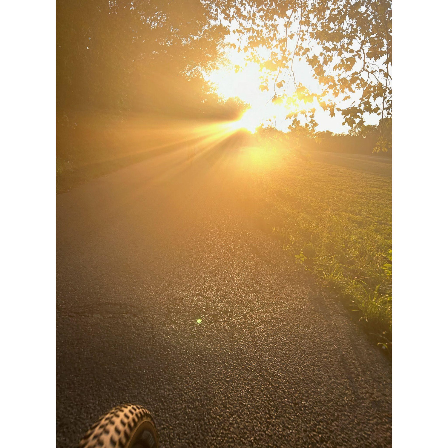 Bike Rides