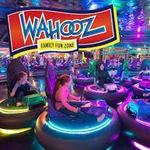 Wahooz Family Fun Zone