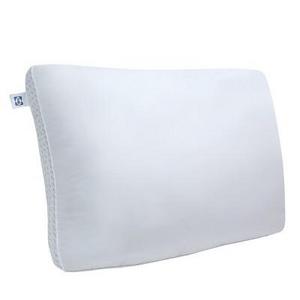 Sealy Memory Foam Bed Pillow (Standard)