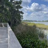 Palm Island Park