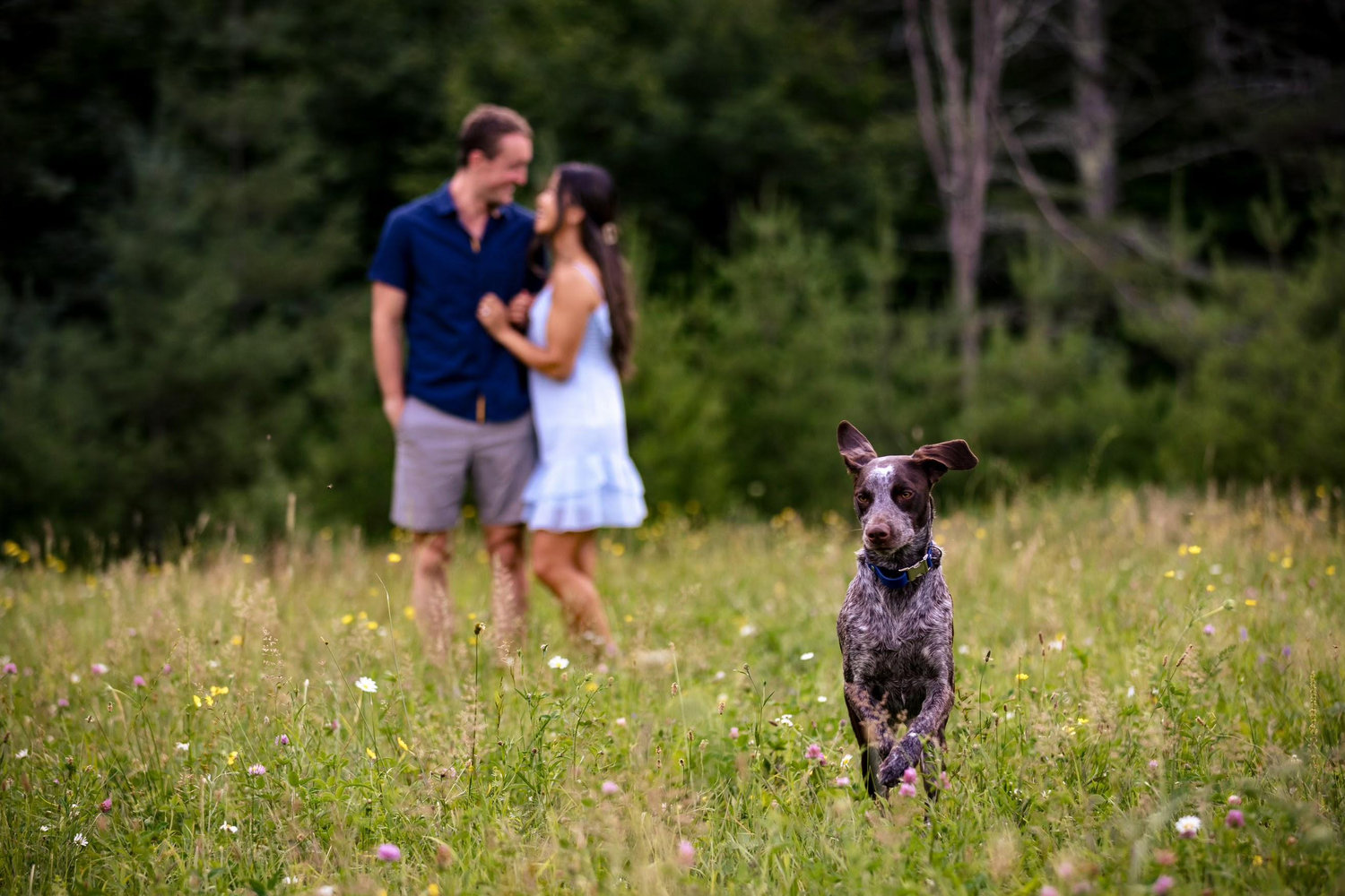 The Wedding Website of Alana Parker and Daniel Linkinhoker