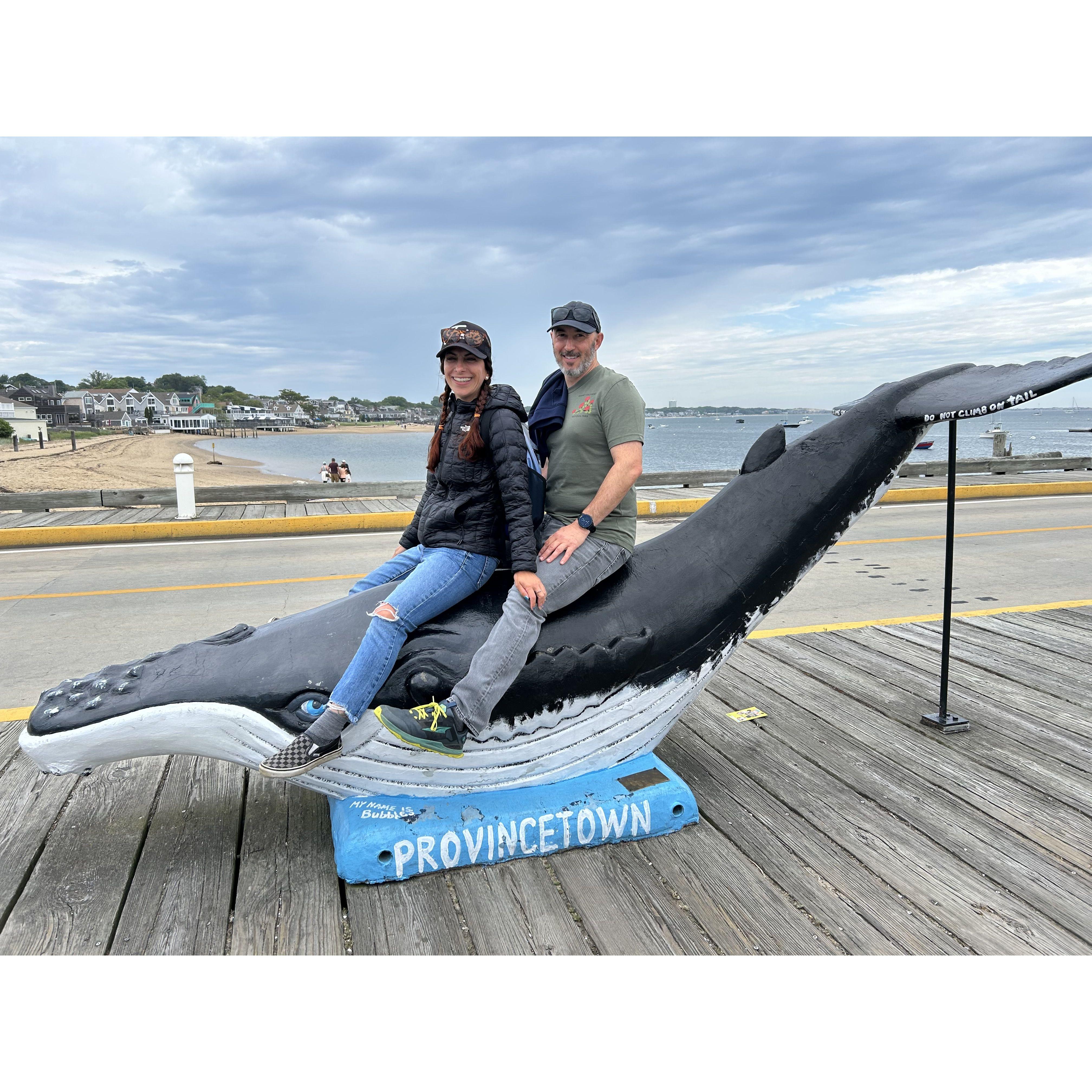 The day leading up to the engagement-a whale of a time!