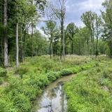 Stevens Creek Nature Preserve