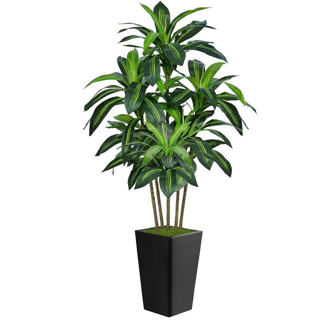 6FT Artificial Dracaena Tree, Fake Tree Indoor with Black Tall Planter,Tall Artificial Plants Indoor,Artificial Silk Tree for Home Office Decor (Black)