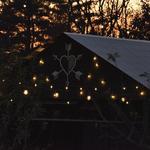 Westwind Orchard