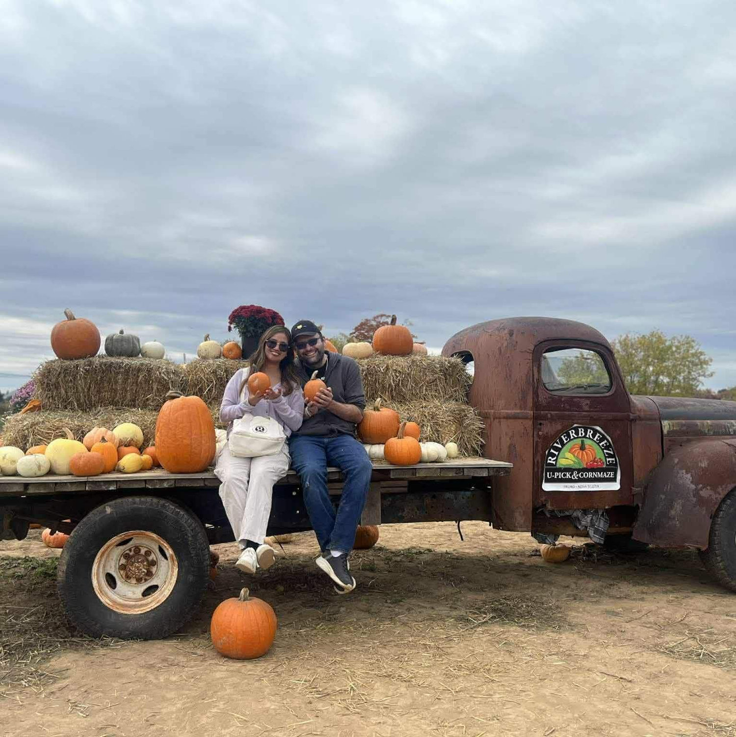 After escaping a corn maze
