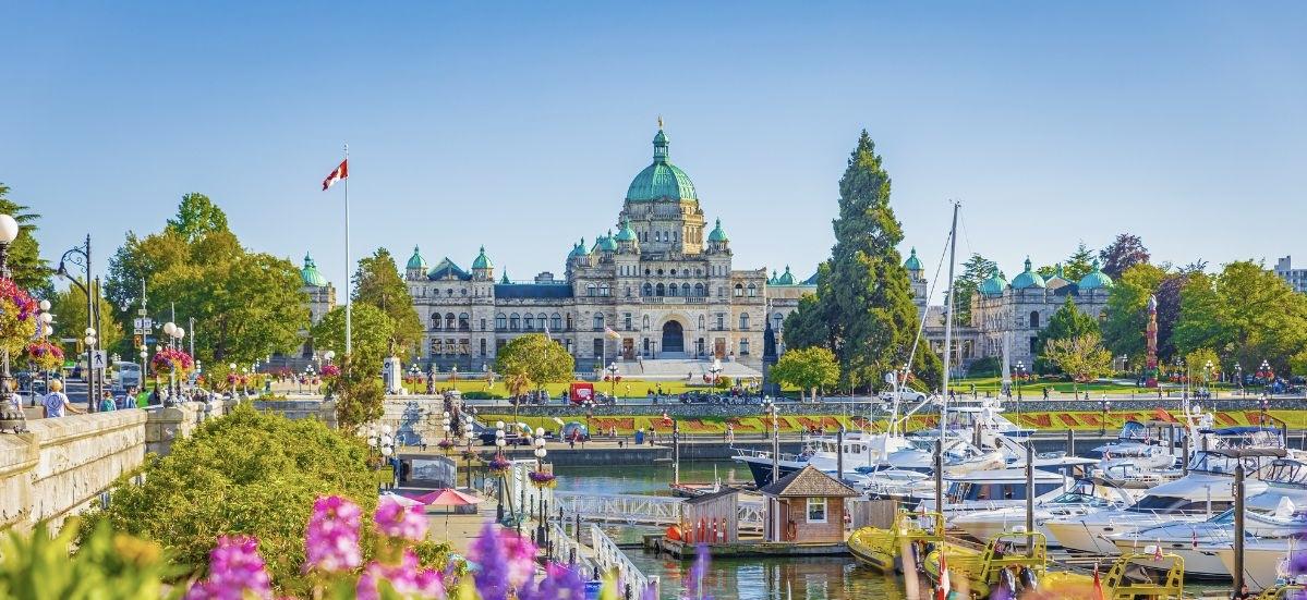 The Wedding Website of Arianna Raduechel and Alexander Dedaj