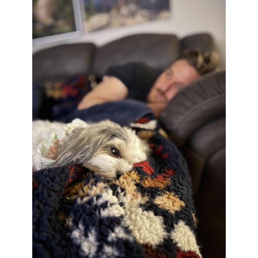 This is a very common sight of Todd and Chewie, who love being cuddly together.