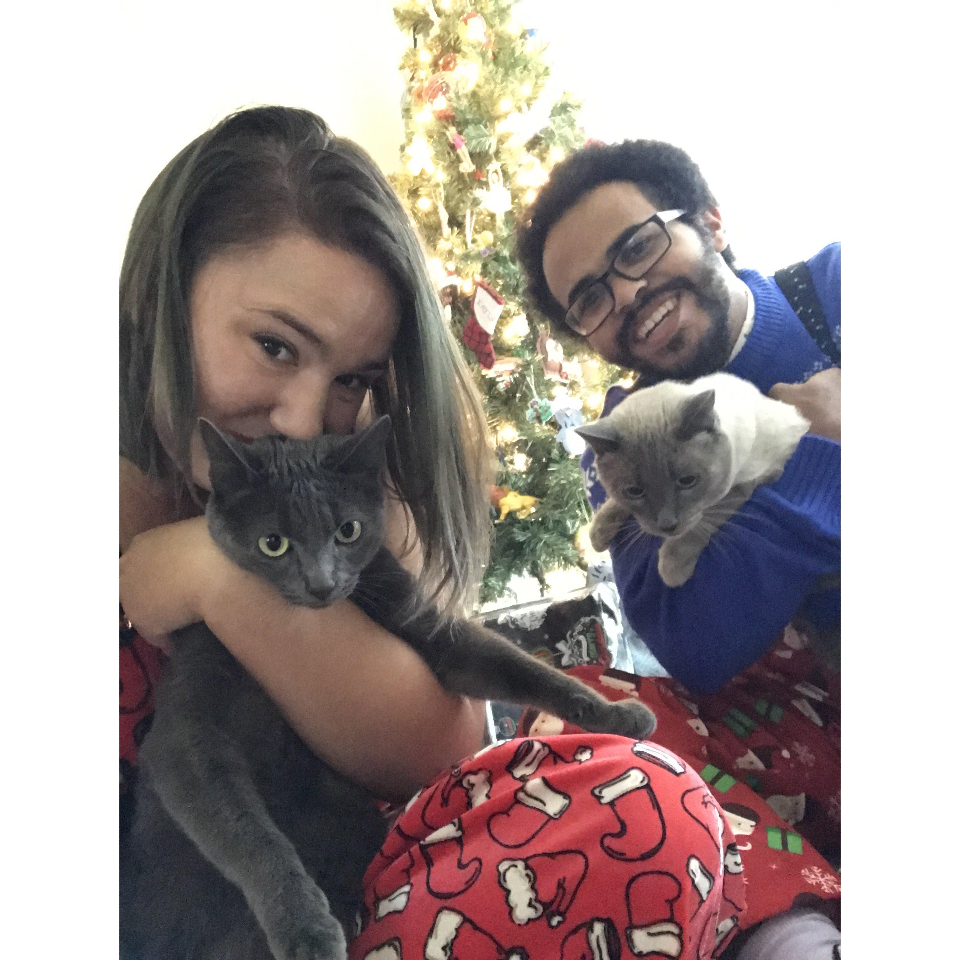 Kitty Christmas Card