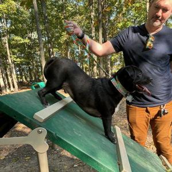 Pup Fun