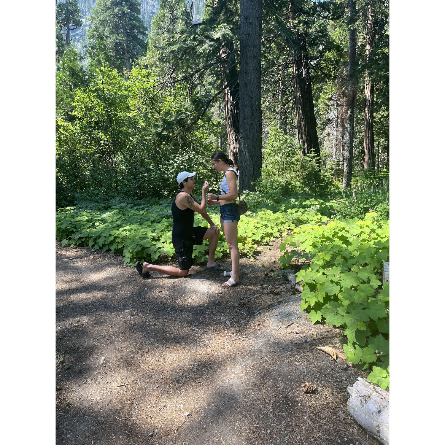 She said "Yes"