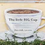 The Little Big Cup