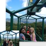 Rainforest Sky Rides
