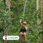Rainforest Zipline Park