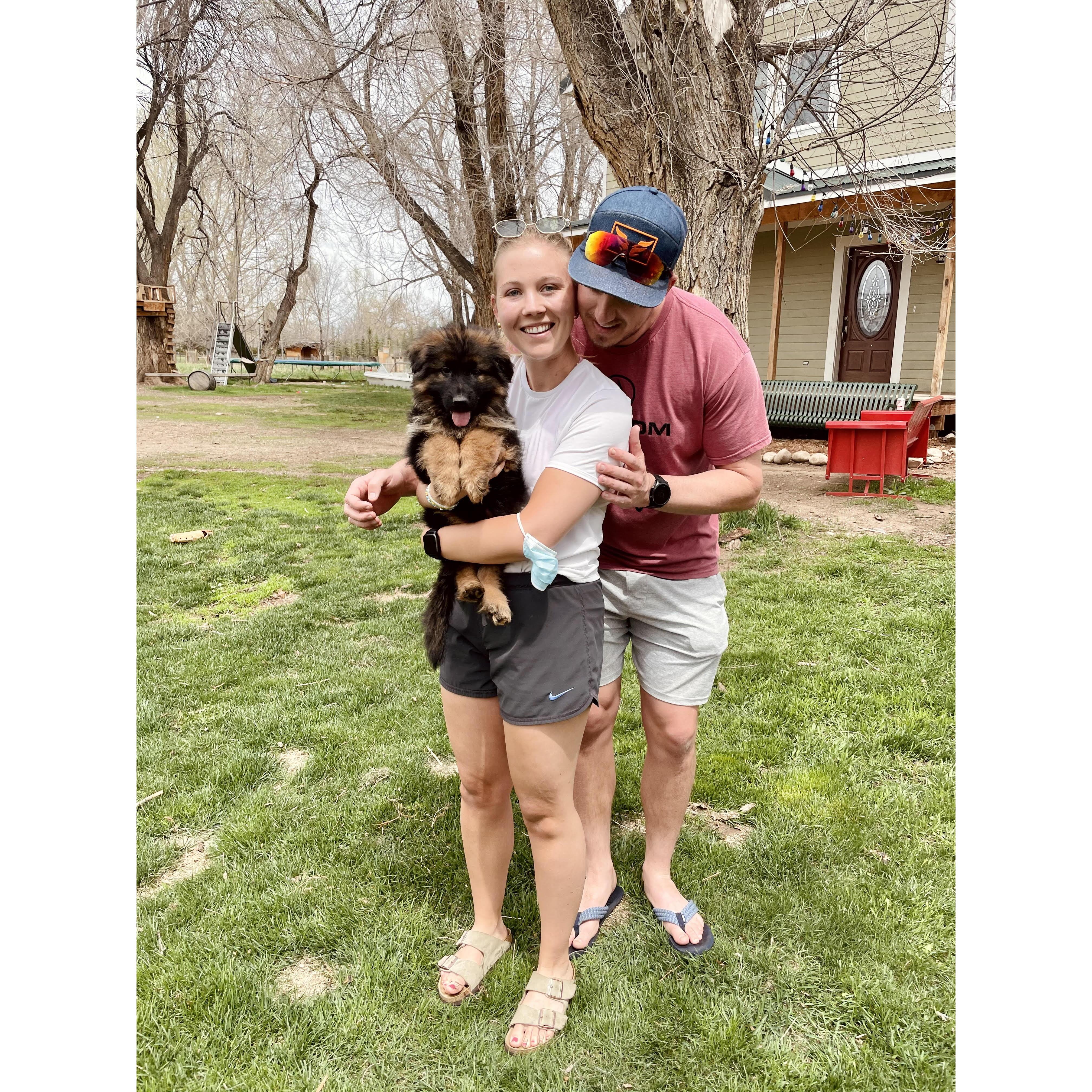 Murphy came home!