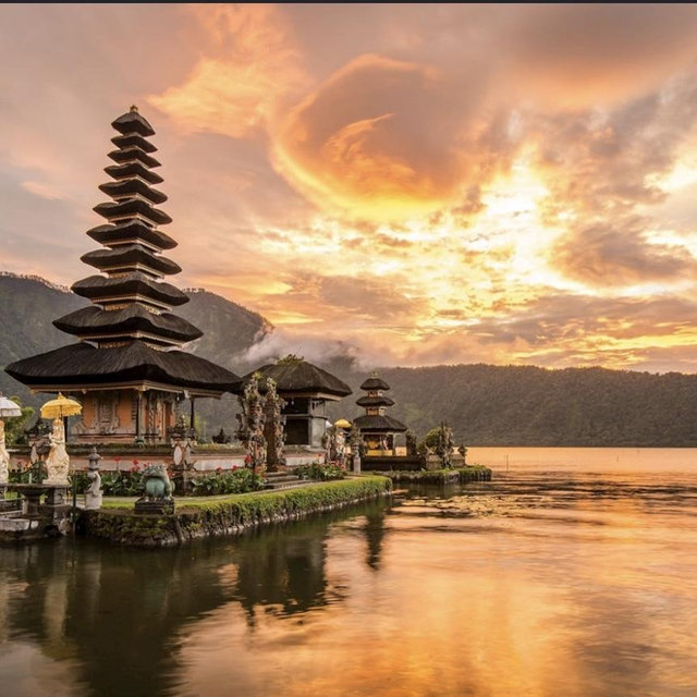 Bali Fund!