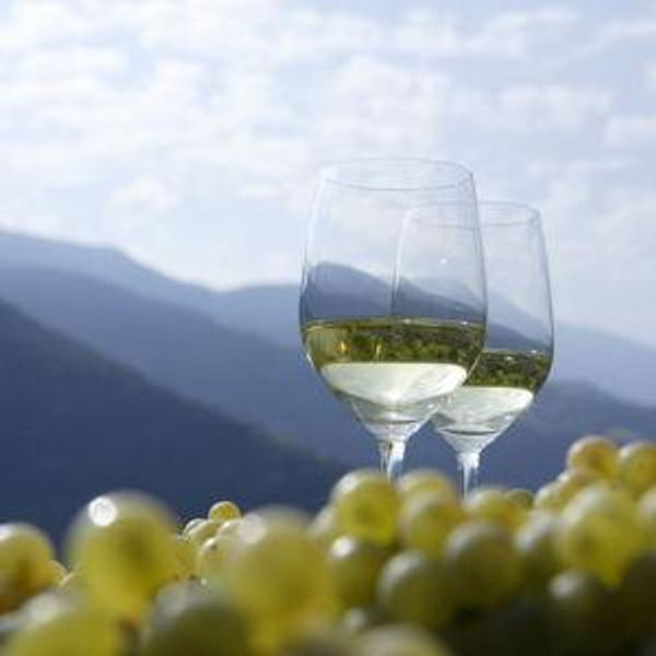 Italian Wine Tasting For Two